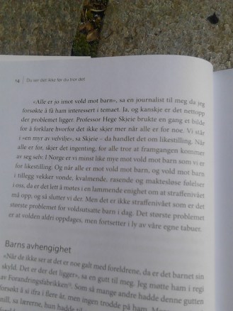 IMG_20150616_105652[1]