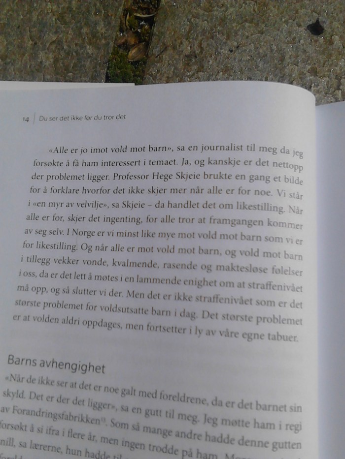 IMG_20150616_105652[1]