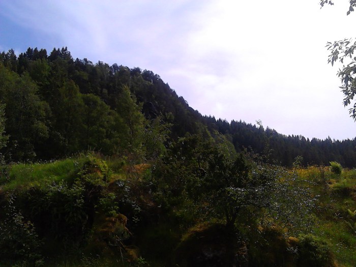 IMG_20150628_142326[1]