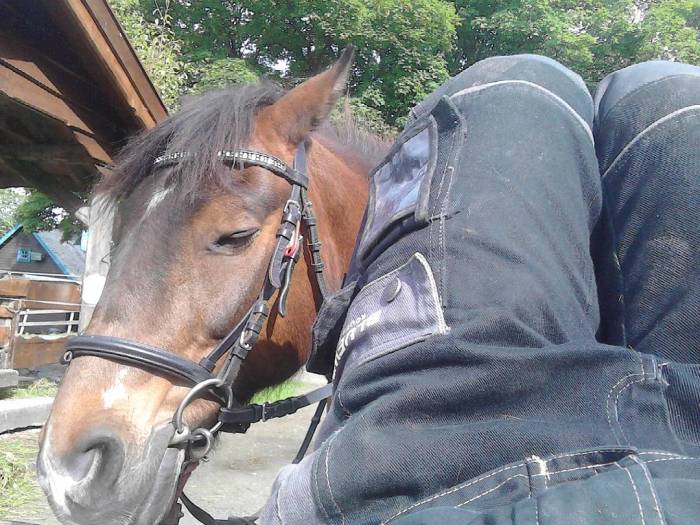 13556826_919531578155244_992033742_n