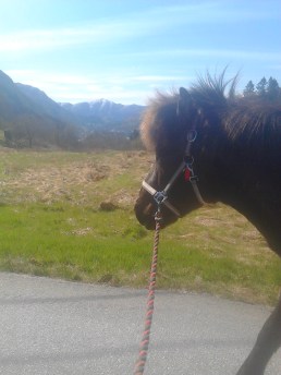 Gorm bursdagstur (2)