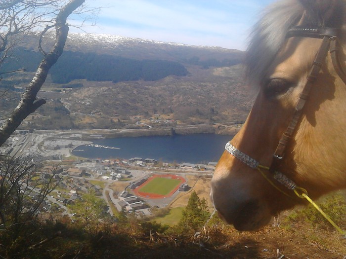 Gorm bursdagstur (3)