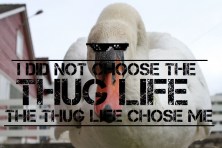 Thug Life