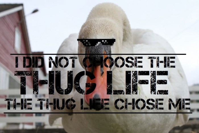 Thug Life.jpg