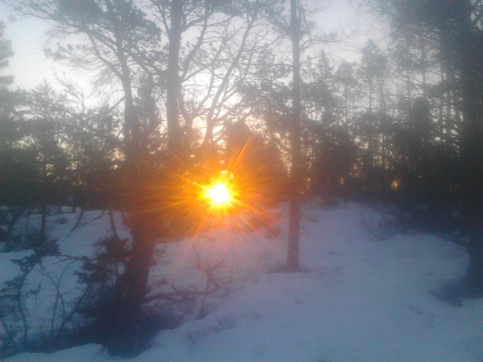 Natt i naturen soloppgang 2