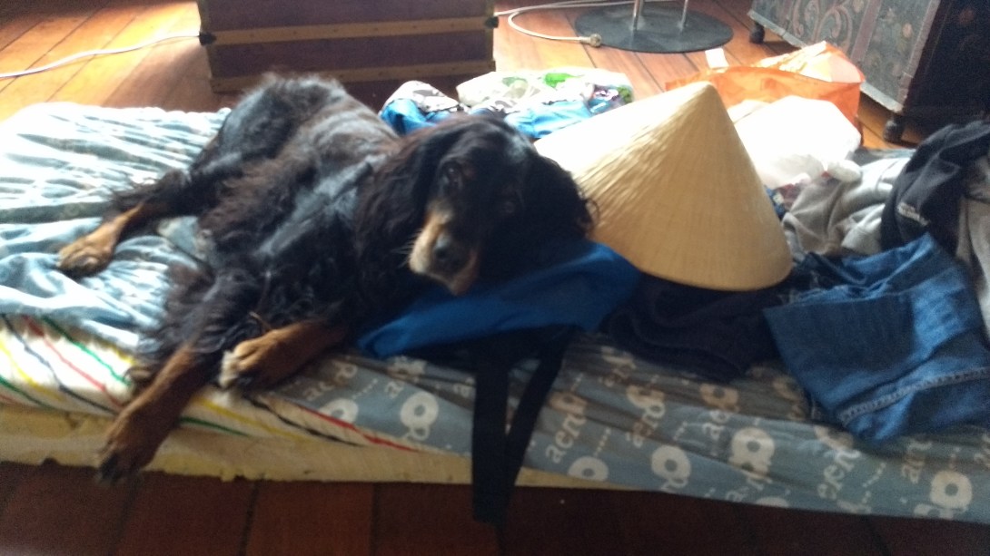 Tilbake fra Viet Nam (2).jpg