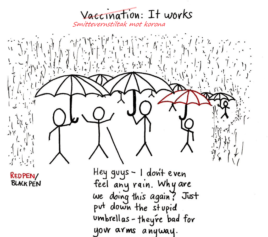 En tegning av en gjeng strekfigurer under paraplyer i høljregn. En av dem, som er beskyttet fra regnet, men ikke holder en paraply selv, spør de andre "Hey guys - I don't even feel any rain. Why are we doing this again? Just put down the stupid umbrellas - they're bad for your arms anyway".

Tittelen er "Vaccination: It works". "Vaccination" er streket over og byttet ut med "Smittevernstiltak mot korona".